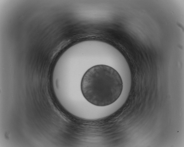 X0000098210738200804241101
