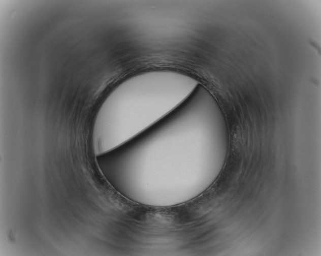 X0000098210739200804241101