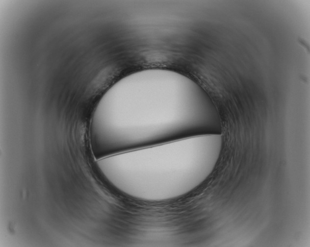 X0000098210742200804241101