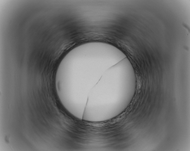 X0000098210743200804241101