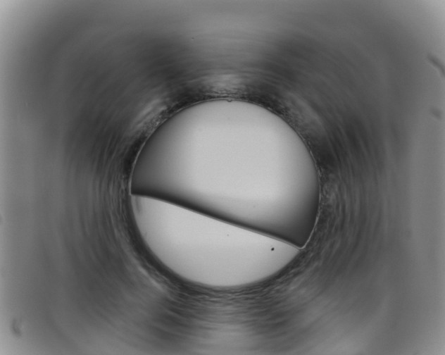 X0000098210744200804241101