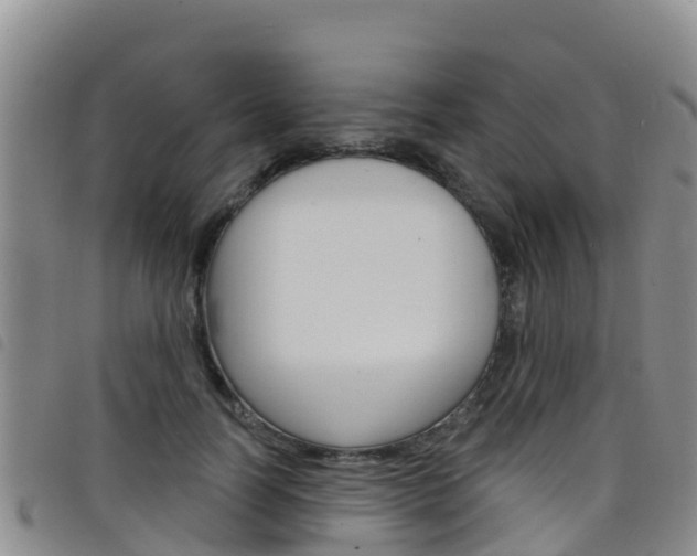 X0000098210746200804241101