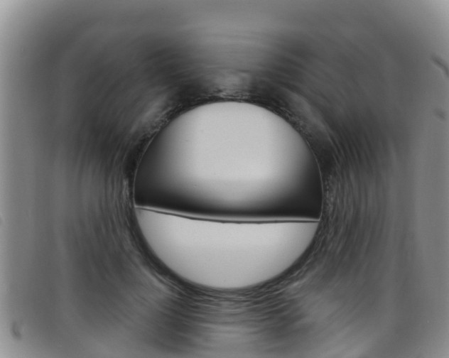 X0000098210748200804241101