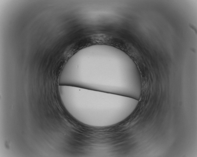 X0000098210749200804241101