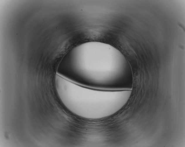 X0000098210750200804241101