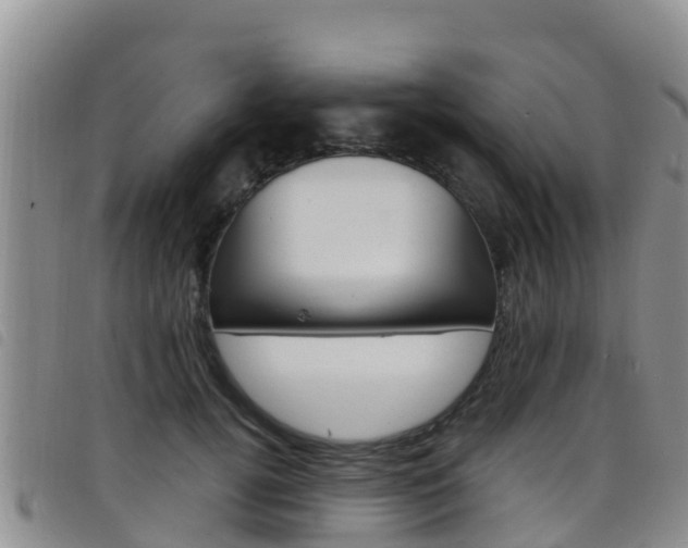X0000098210752200804241101