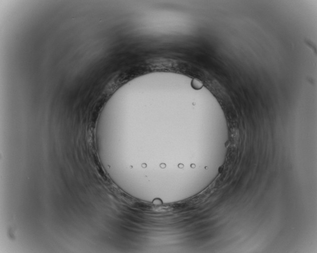 X0000098210753200804241101