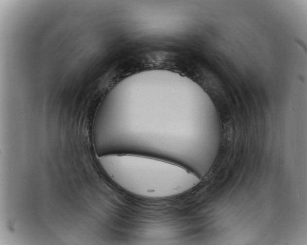 X0000098210754200804241102