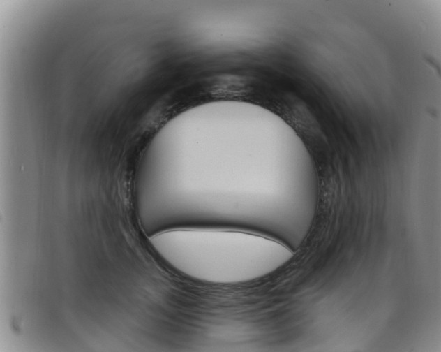 X0000098210755200804241102