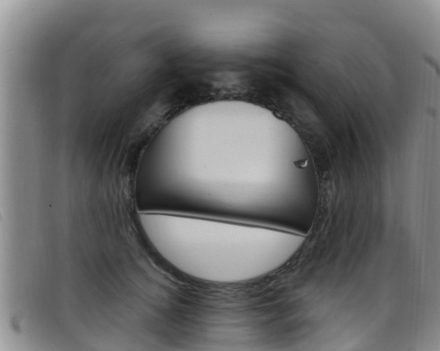 X0000098210756200804241102