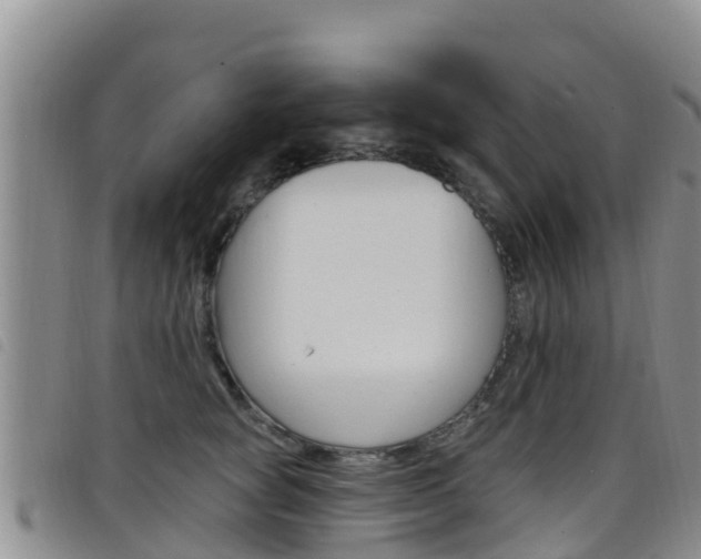 X0000098210757200804241102