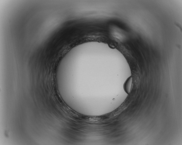 X0000098210758200804241102
