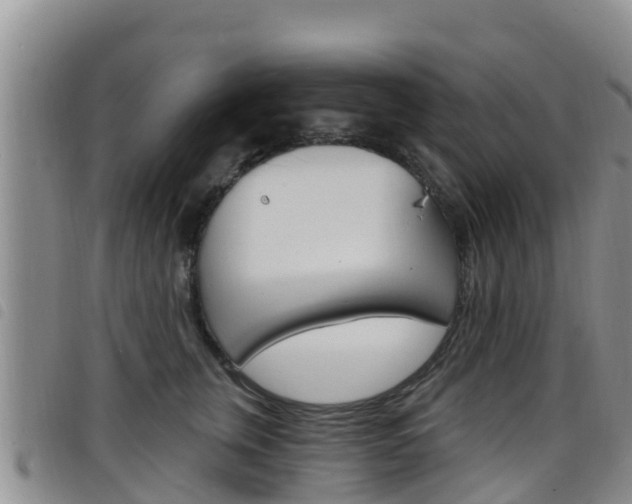 X0000098210759200804241102