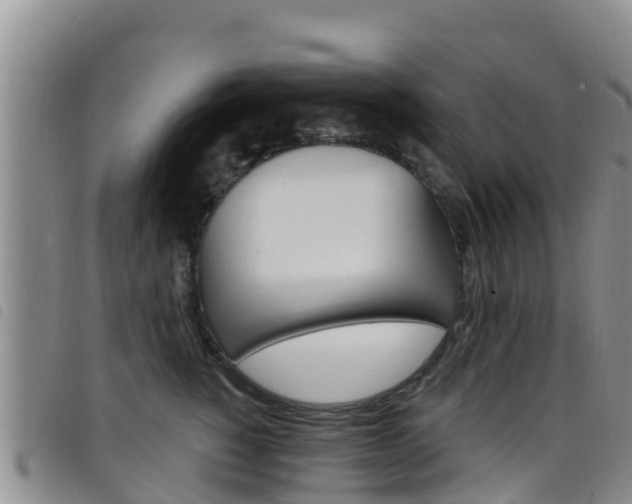 X0000098210760200804241102