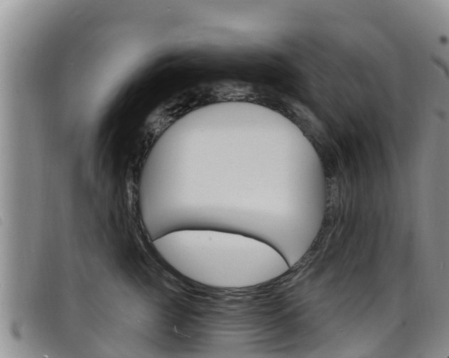 X0000098210761200804241102