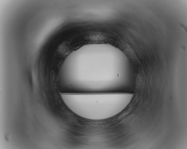 X0000098210762200804241102