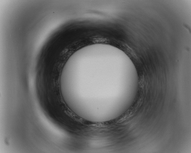 X0000098210763200804241102