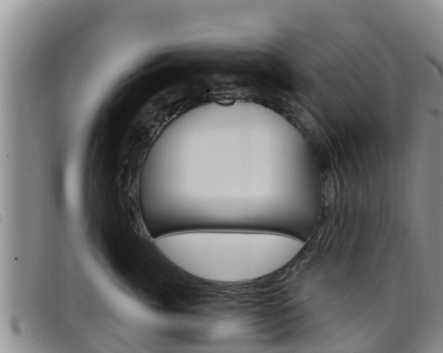 X0000098210764200804241102
