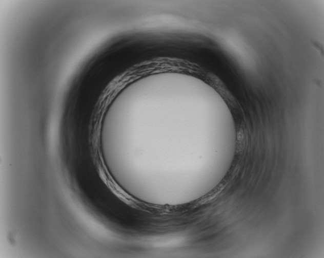 X0000098210765200804241102