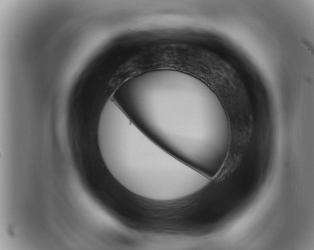 X0000098210766200804241102