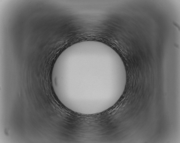 X0000098210769200804241101