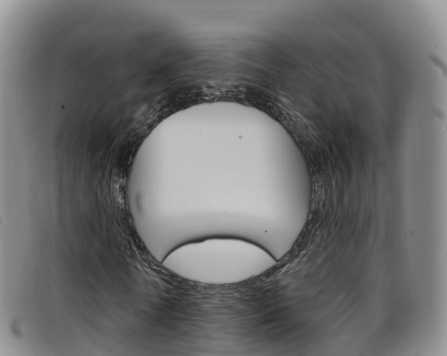 X0000098210770200804241101