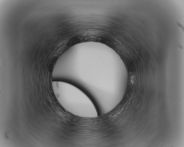 X0000098210771200804241101