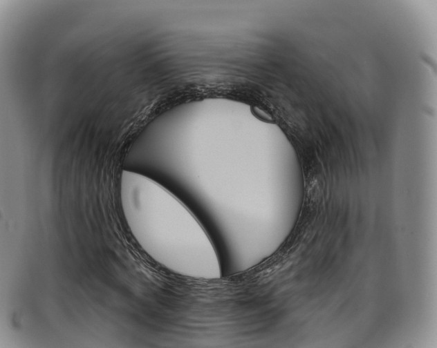 X0000098210772200804241101