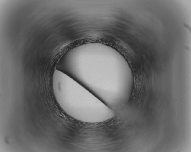X0000098210773200804241101