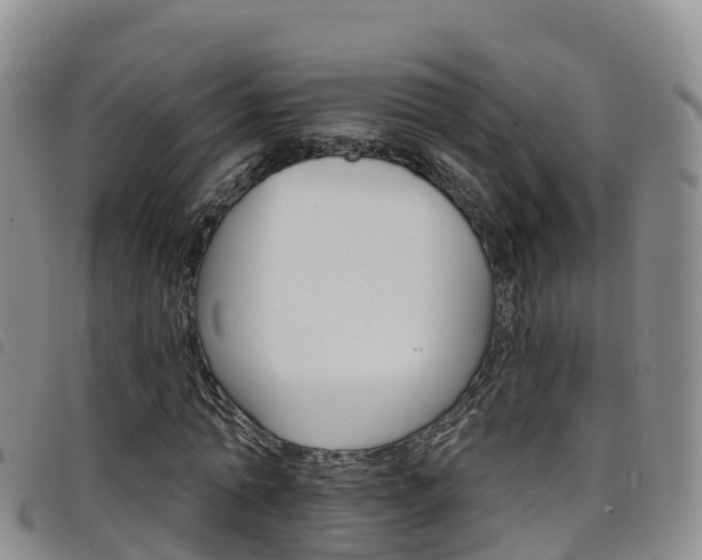 X0000098210774200804241101