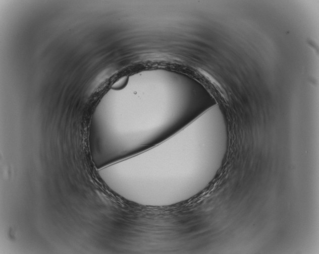 X0000098210775200804241101