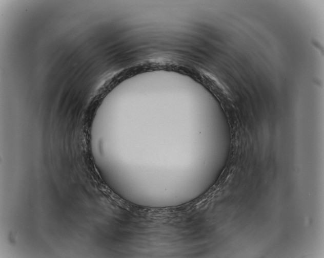 X0000098210776200804241101