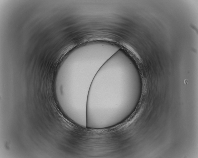 X0000098210777200804241101