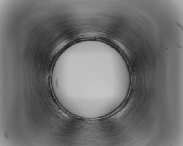 X0000098210778200804241101