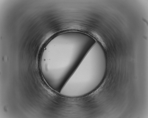 X0000098210780200804241101