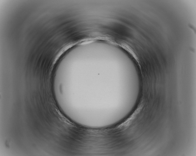 X0000098210781200804241101