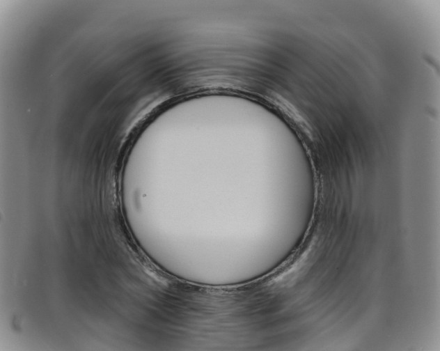 X0000098210782200804241101