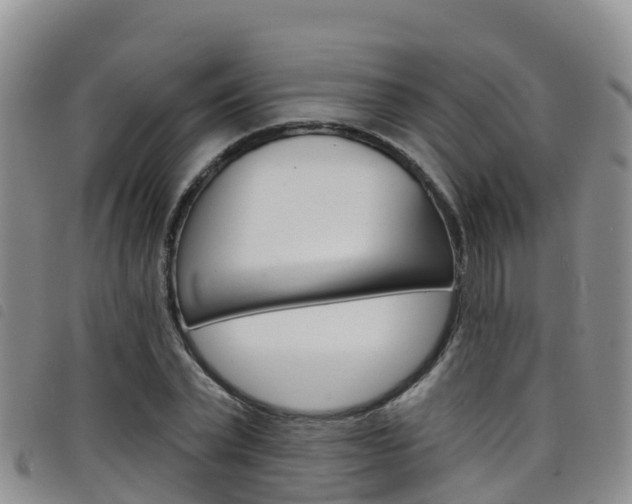 X0000098210783200804241101