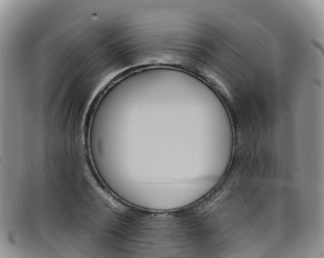 X0000098210784200804241101