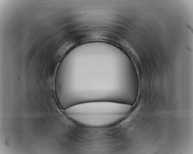 X0000098210785200804241101