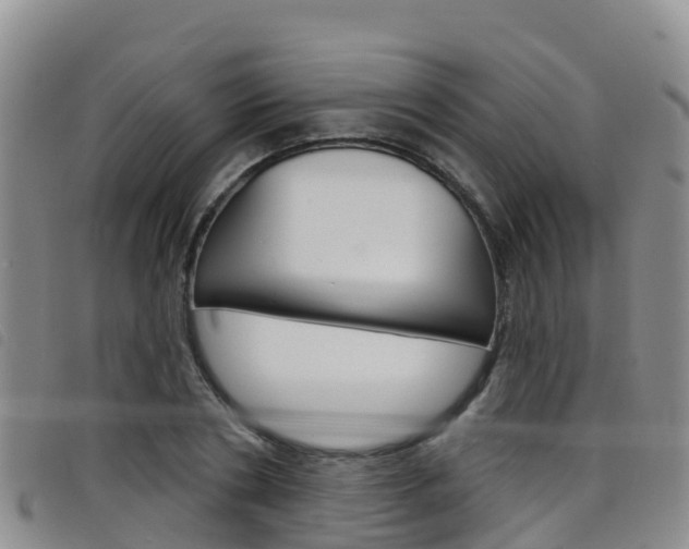 X0000098210786200804241101