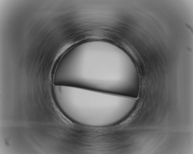 X0000098210787200804241101