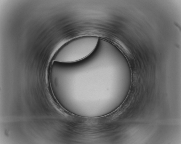 X0000098210788200804241101