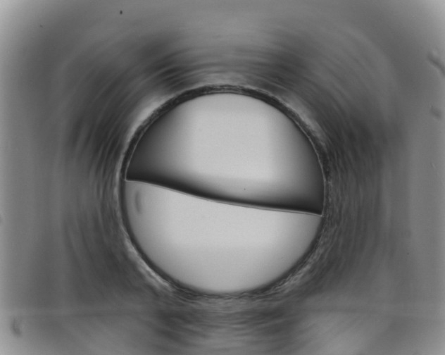 X0000098210791200804241101