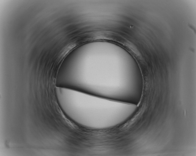 X0000098210793200804241101