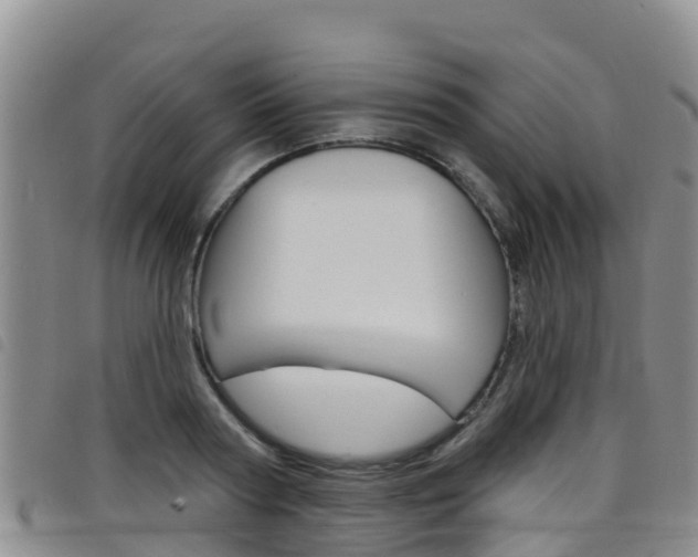 X0000098210794200804241101