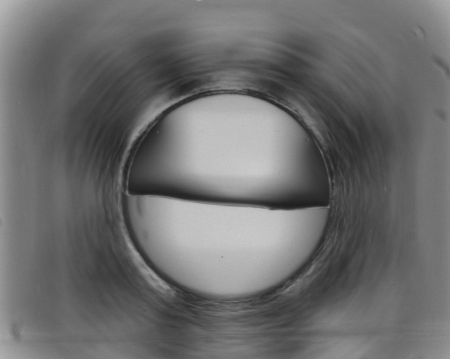 X0000098210795200804241101