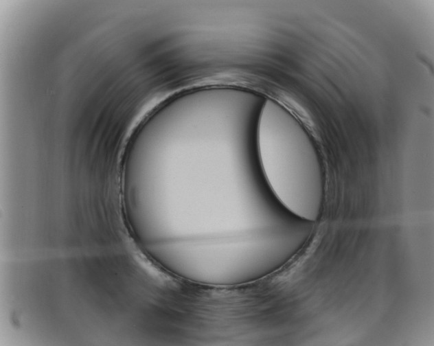 X0000098210800200804241100