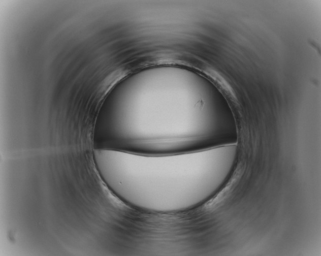 X0000098210801200804241100