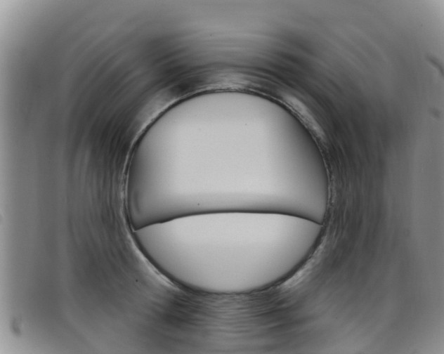 X0000098210802200804241100